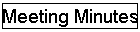 Meeting Minutes