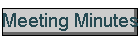 Meeting Minutes